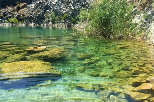 Enchanted Lagoon Jeep Safari