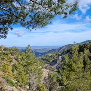 troodos safari 4