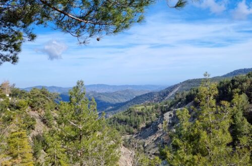 troodos safari 4